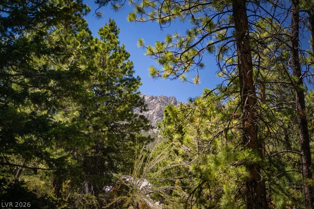4146 Tyrol Way Mount Charleston, NV 89124