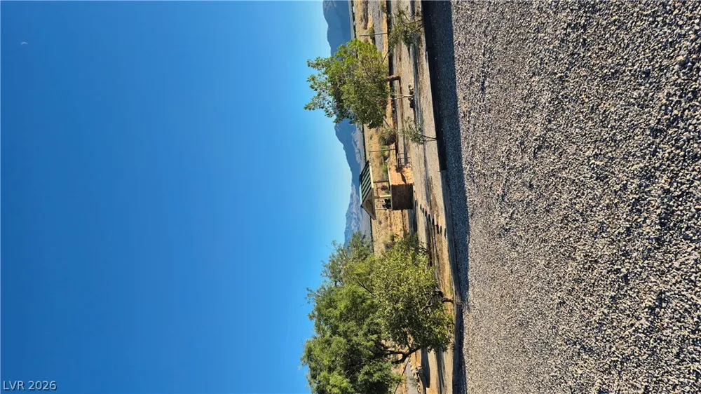 2520 Silver Avenue Sandy Valley, NV 89019