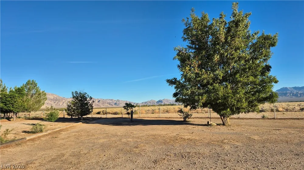 2520 Silver Avenue Sandy Valley, NV 89019