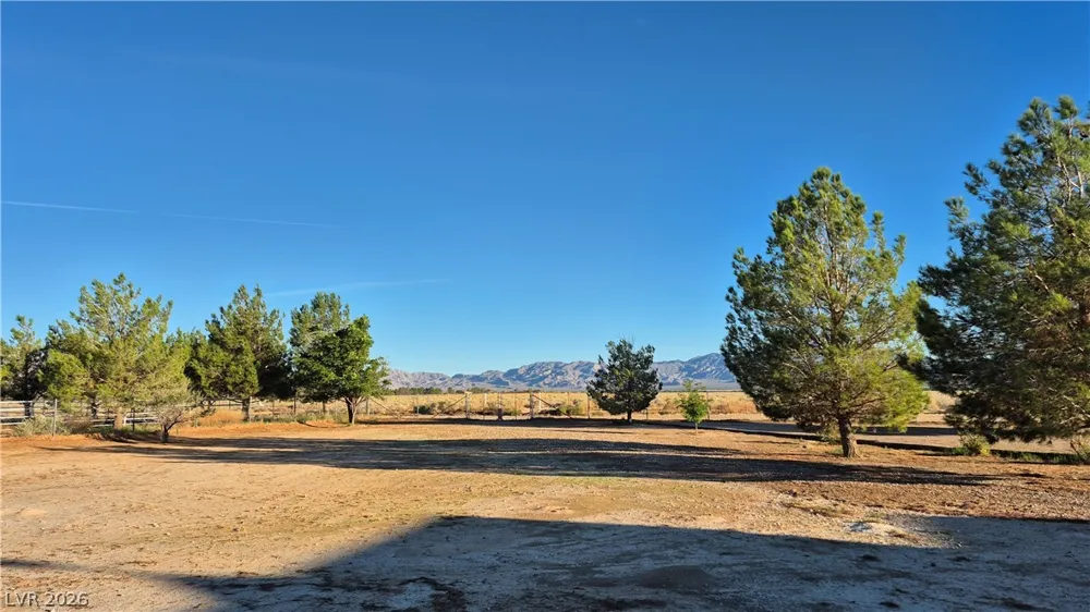 2520 Silver Avenue Sandy Valley, NV 89019