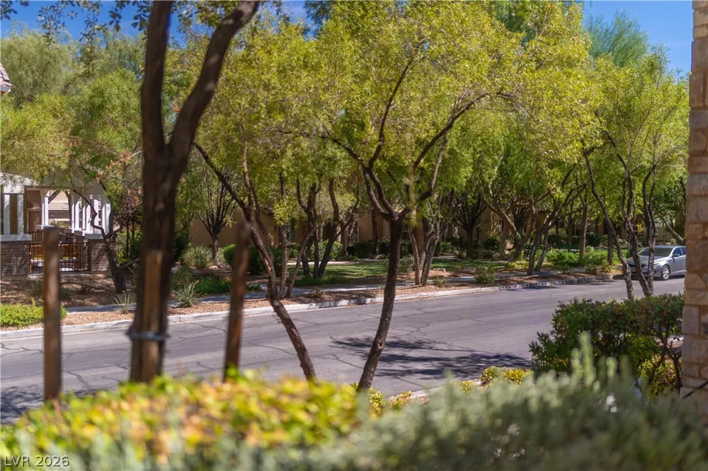 3173 Degas Tapestry Avenue Henderson, NV 89044