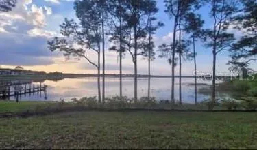 1099 LAKESHORE BREEZE PL PLACE Kissimmee, FL 34747