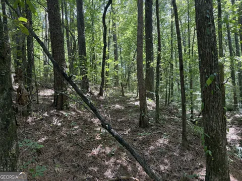 0 Center Point RD