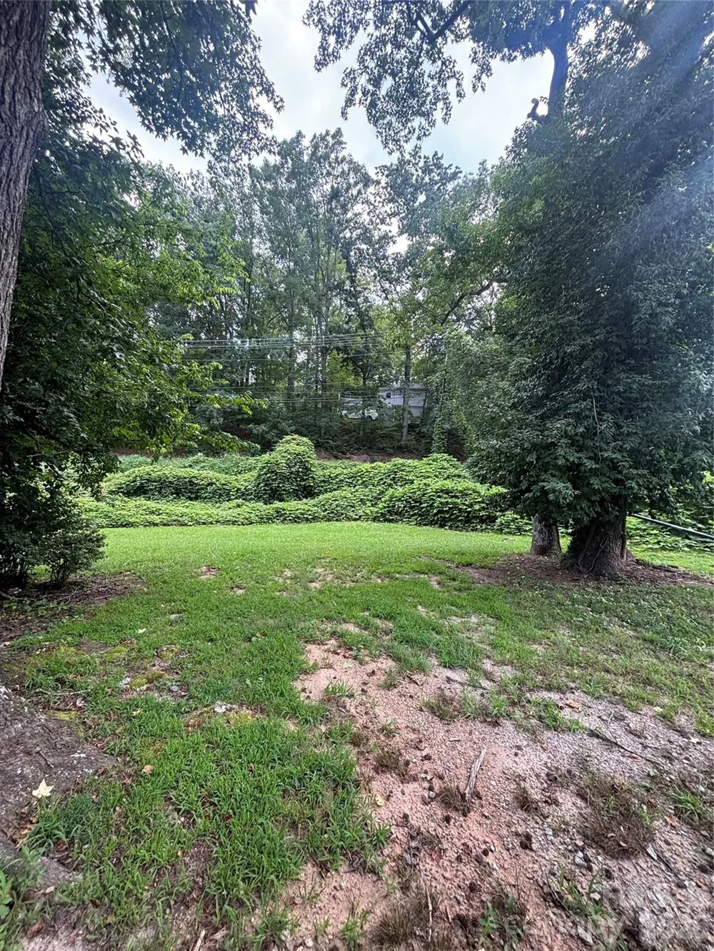40 Beaver Street Tryon, NC 28782