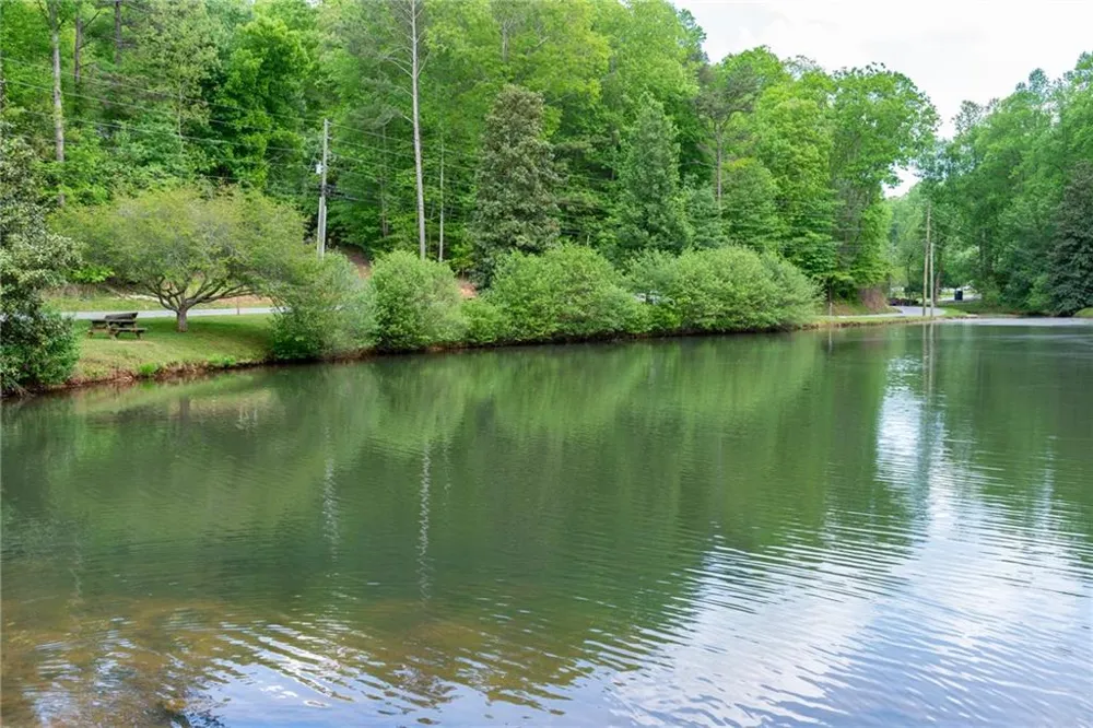 314 Catawba Circle Ellijay, GA 30540