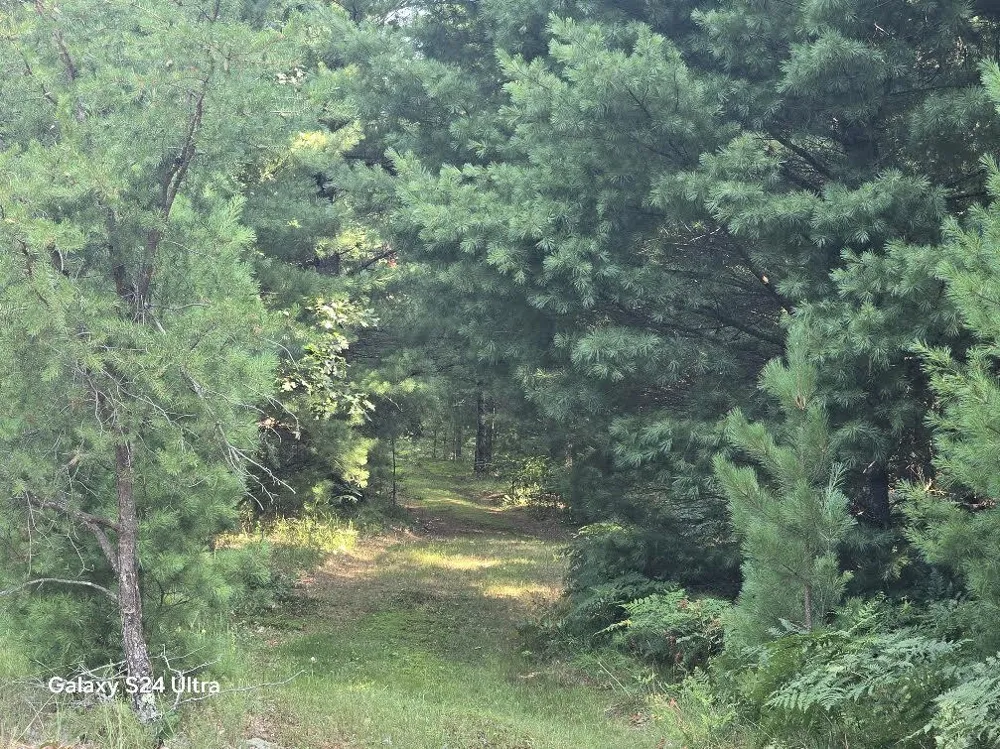 10652 W River Road Irons, MI 49644
