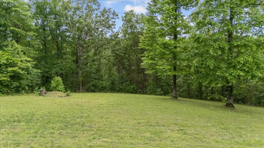 0 Rustic Valley Drive Waverly, TN 37185