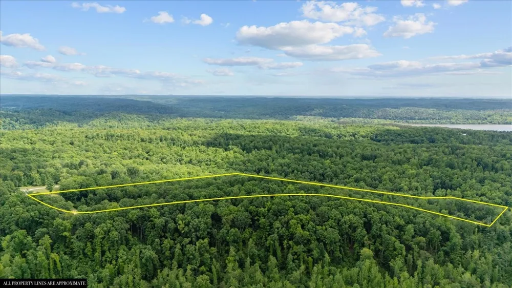 0 Rustic Valley Drive Waverly, TN 37185