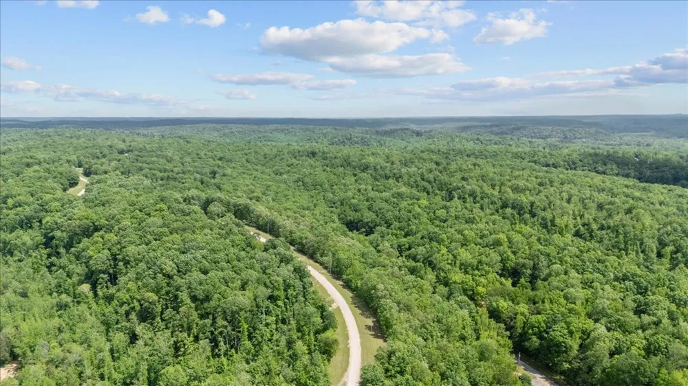 0 Rustic Valley Drive Waverly, TN 37185