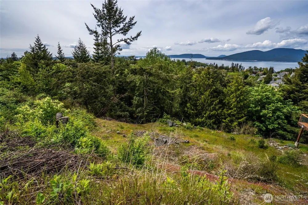 2016 Kansas Avenue Anacortes, WA 98221