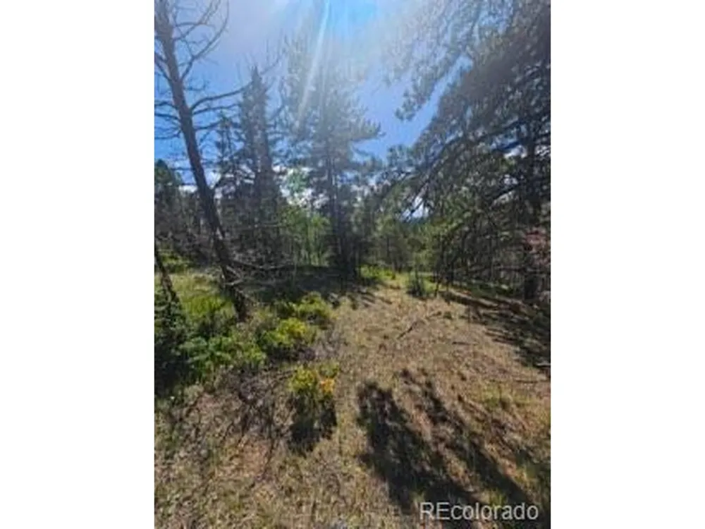 1164 Arapahoe Creek Trail Florissant, CO 80816