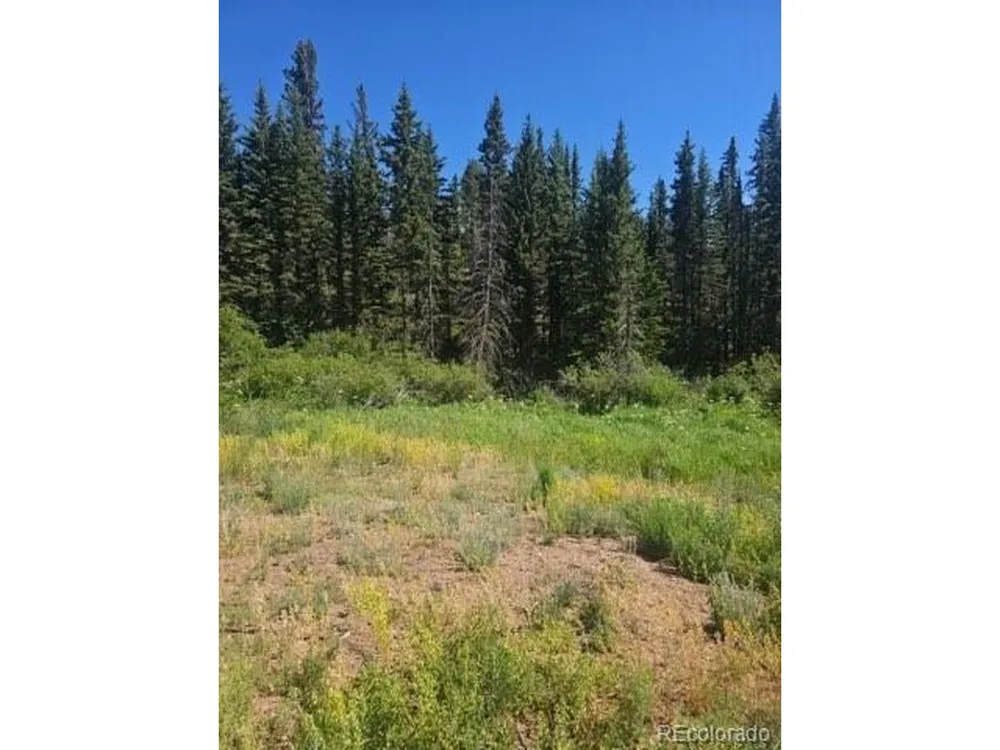 1164 Arapahoe Creek Trail Florissant, CO 80816