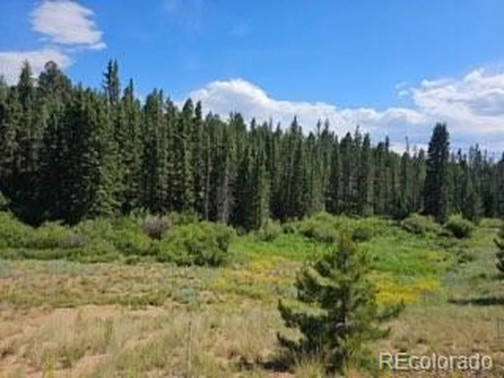 1164 Arapahoe Creek Trail Florissant, CO 80816