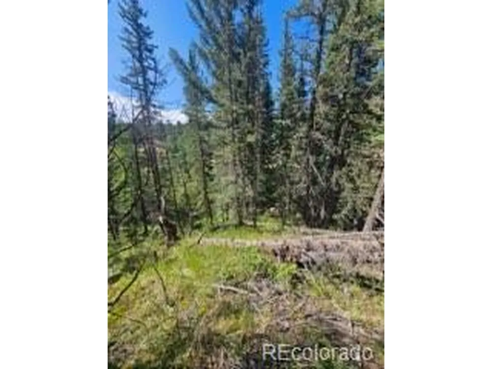 1164 Arapahoe Creek Trail Florissant, CO 80816