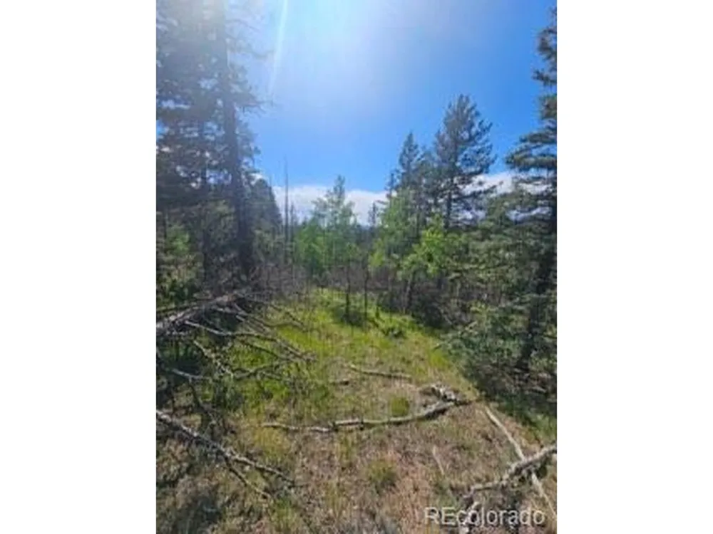 1164 Arapahoe Creek Trail Florissant, CO 80816