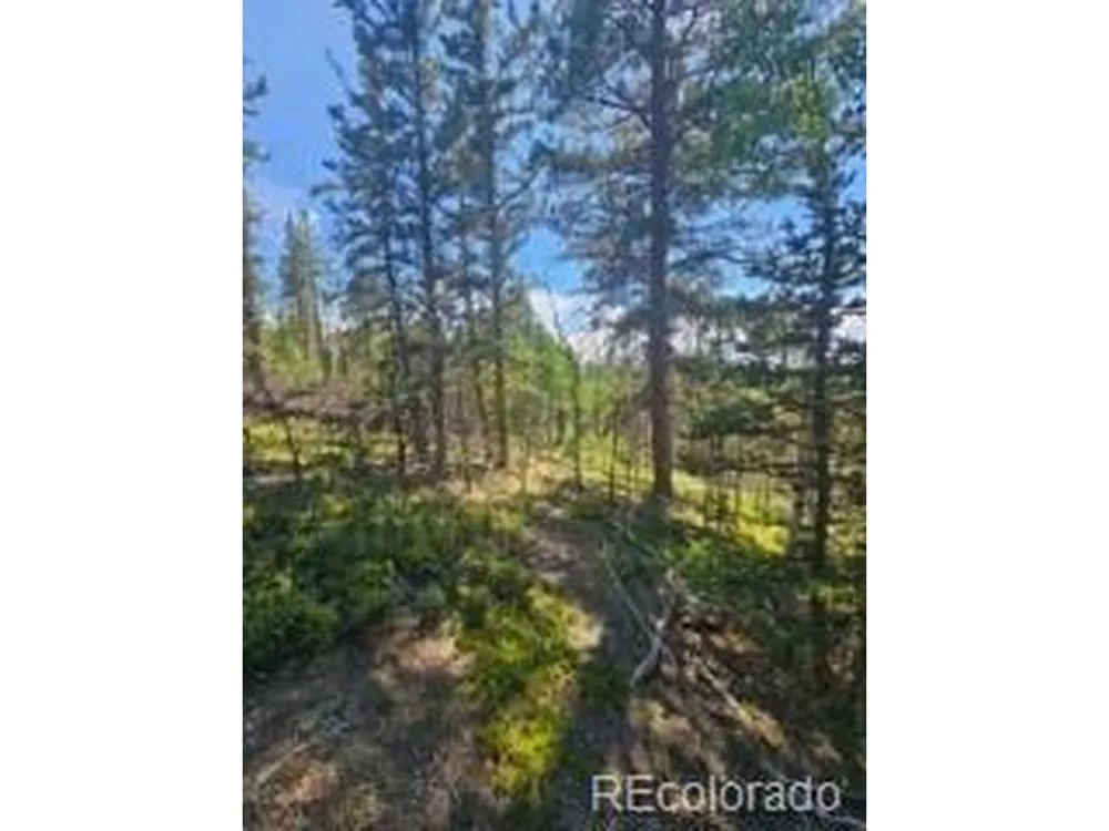 1164 Arapahoe Creek Trail Florissant, CO 80816