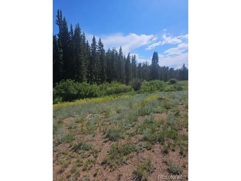 1164 Arapahoe Creek Trail Florissant, CO 80816