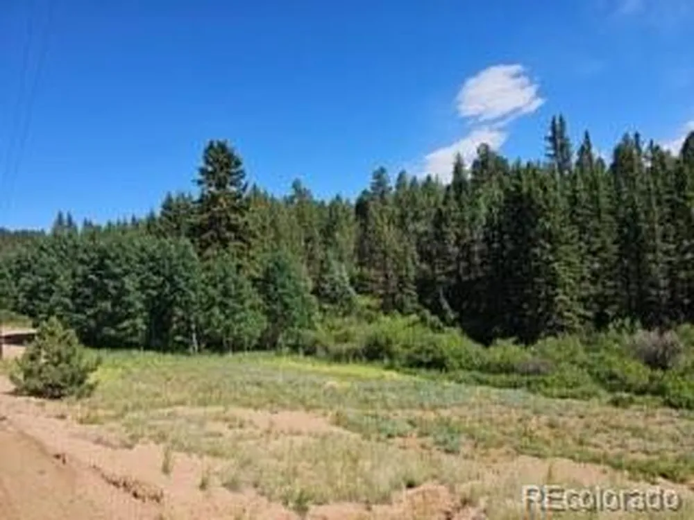 1164 Arapahoe Creek Trail Florissant, CO 80816