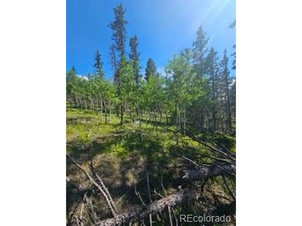 1164 Arapahoe Creek Trail Florissant, CO 80816