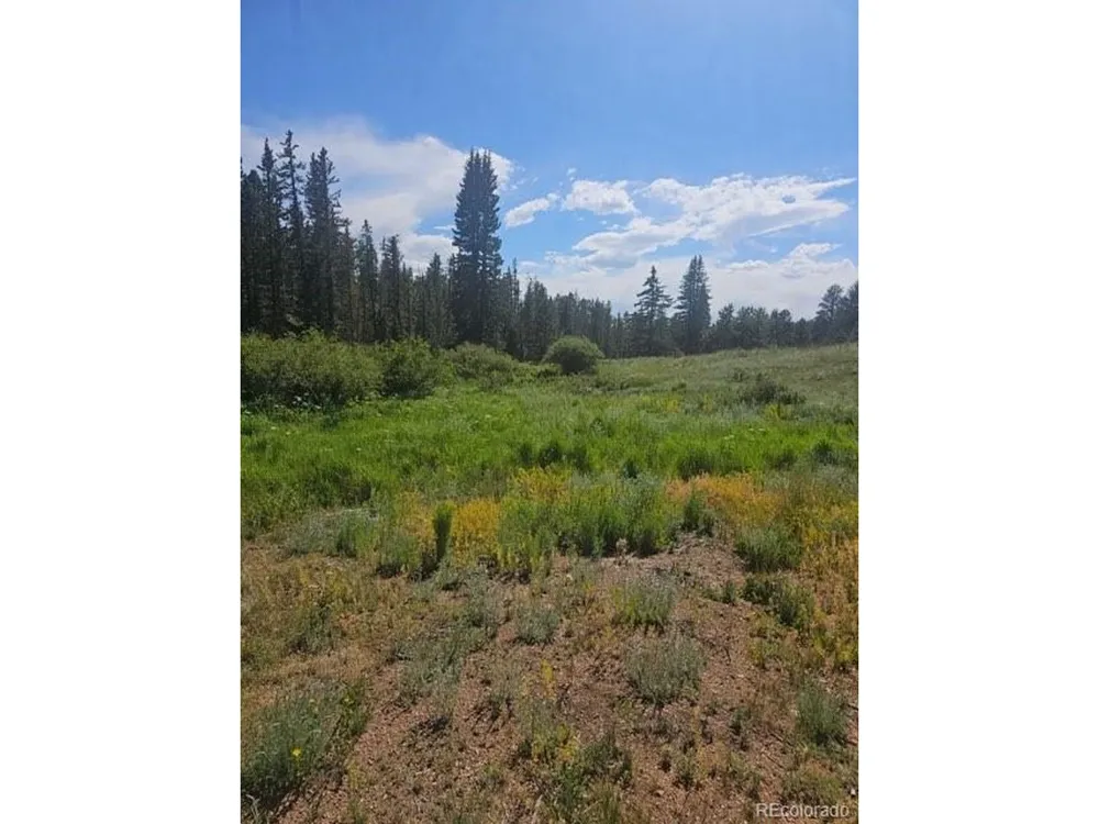 1164 Arapahoe Creek Trail Florissant, CO 80816