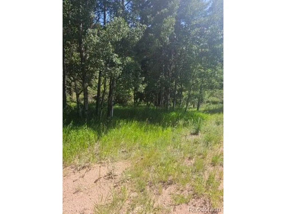 1164 Arapahoe Creek Trail Florissant, CO 80816