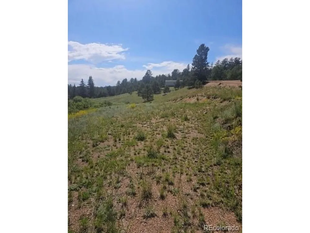 1164 Arapahoe Creek Trail Florissant, CO 80816
