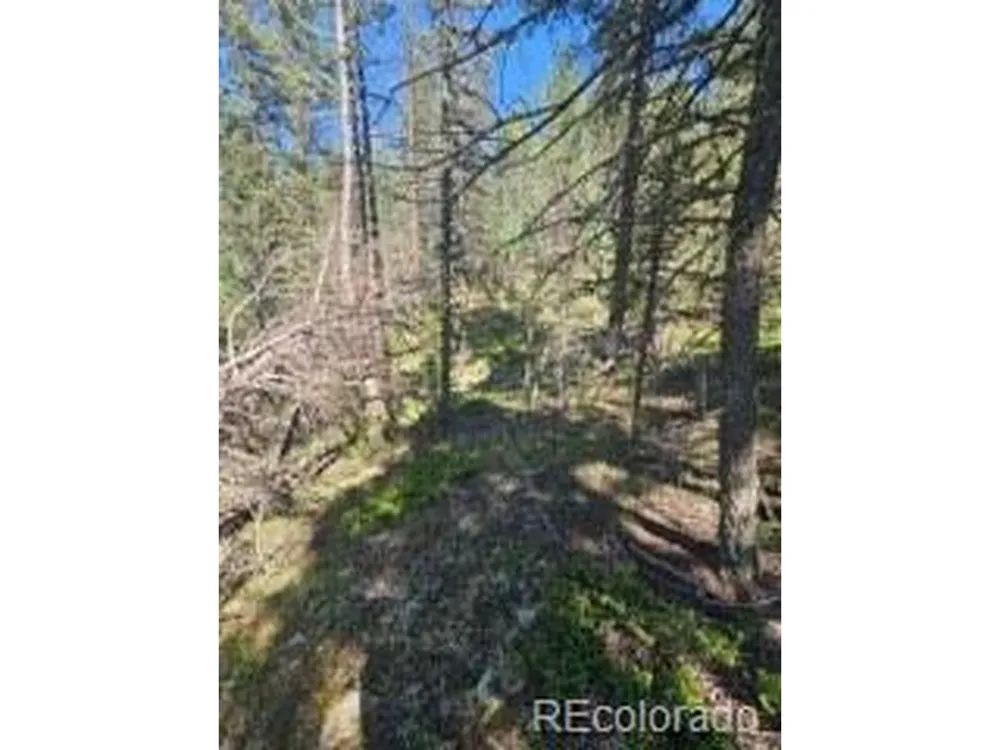 1164 Arapahoe Creek Trail Florissant, CO 80816