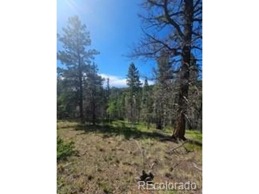 1164 Arapahoe Creek Trail Florissant, CO 80816