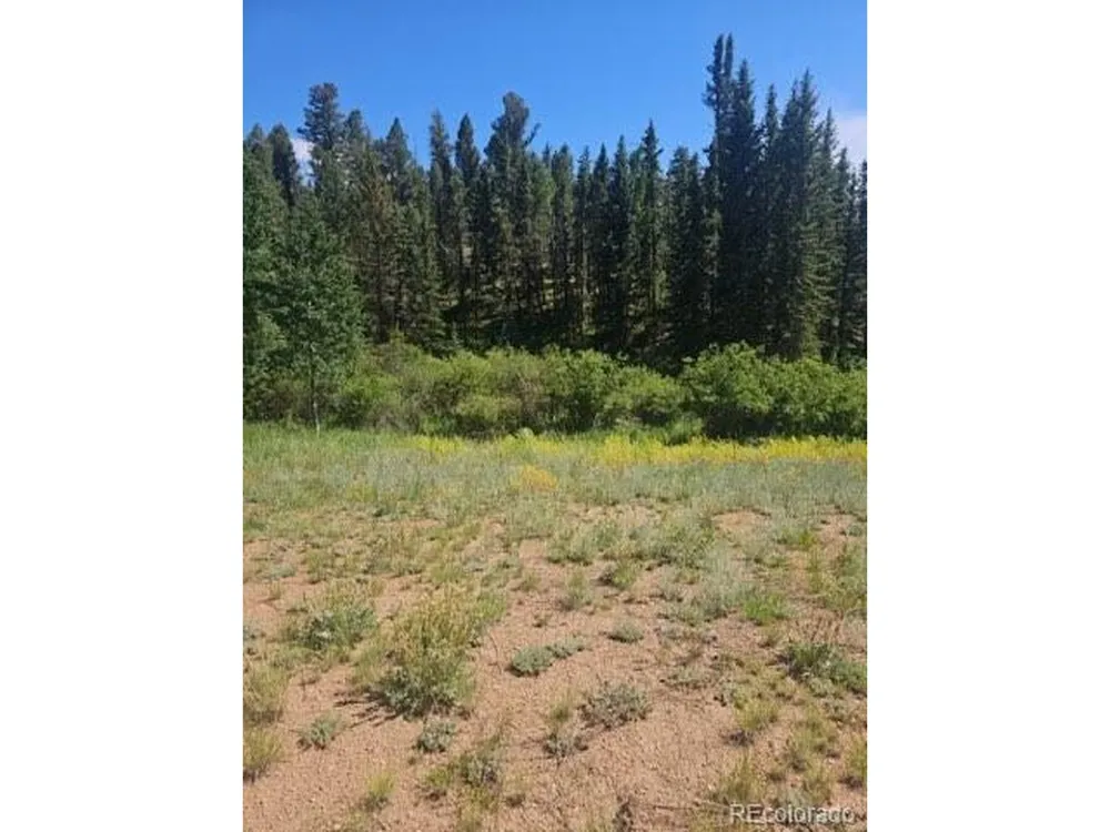 1164 Arapahoe Creek Trail Florissant, CO 80816