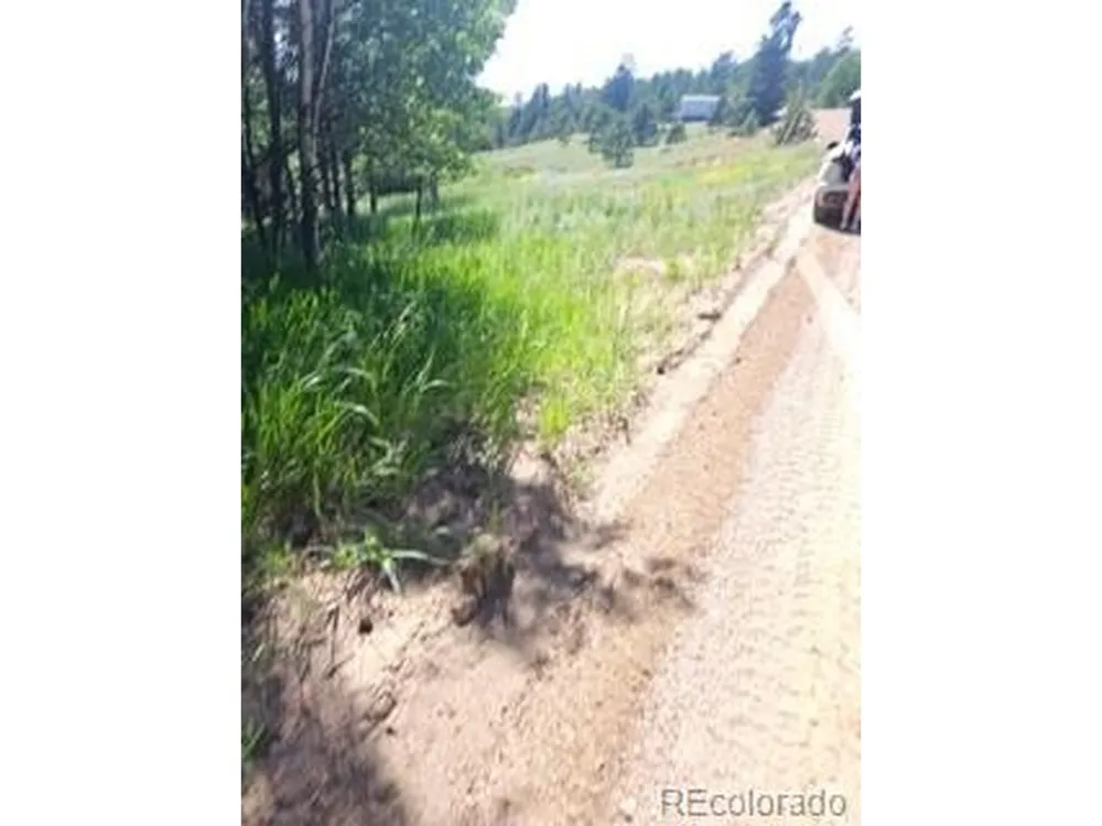 1164 Arapahoe Creek Trail Florissant, CO 80816