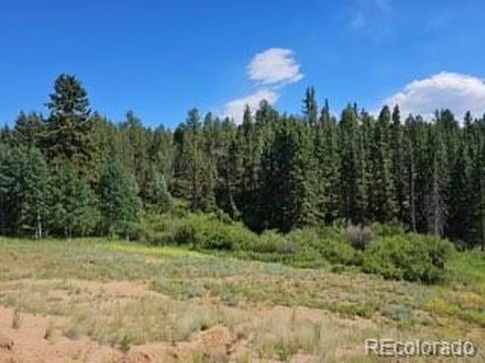 1164 Arapahoe Creek Trail Florissant, CO 80816