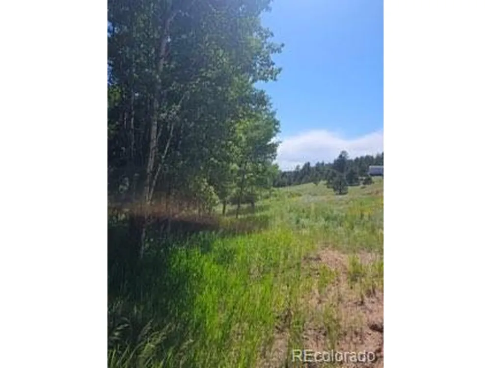 1164 Arapahoe Creek Trail Florissant, CO 80816