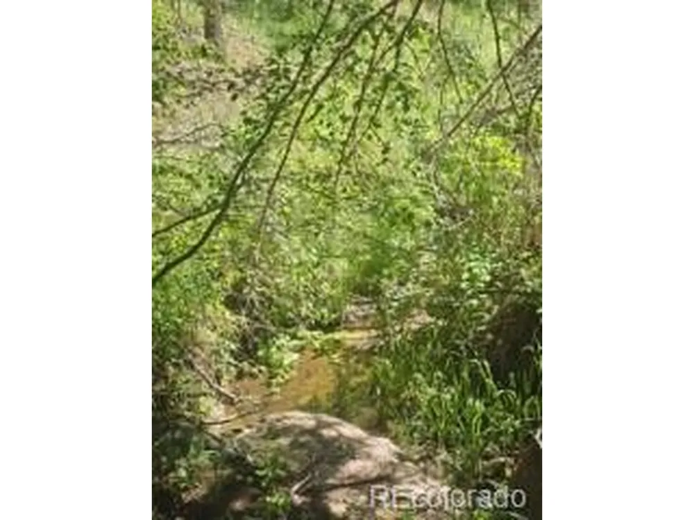 1164 Arapahoe Creek Trail Florissant, CO 80816