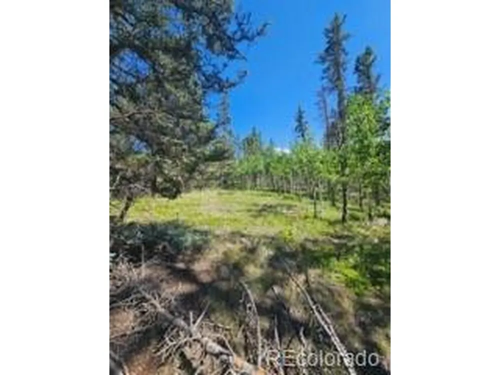1164 Arapahoe Creek Trail Florissant, CO 80816