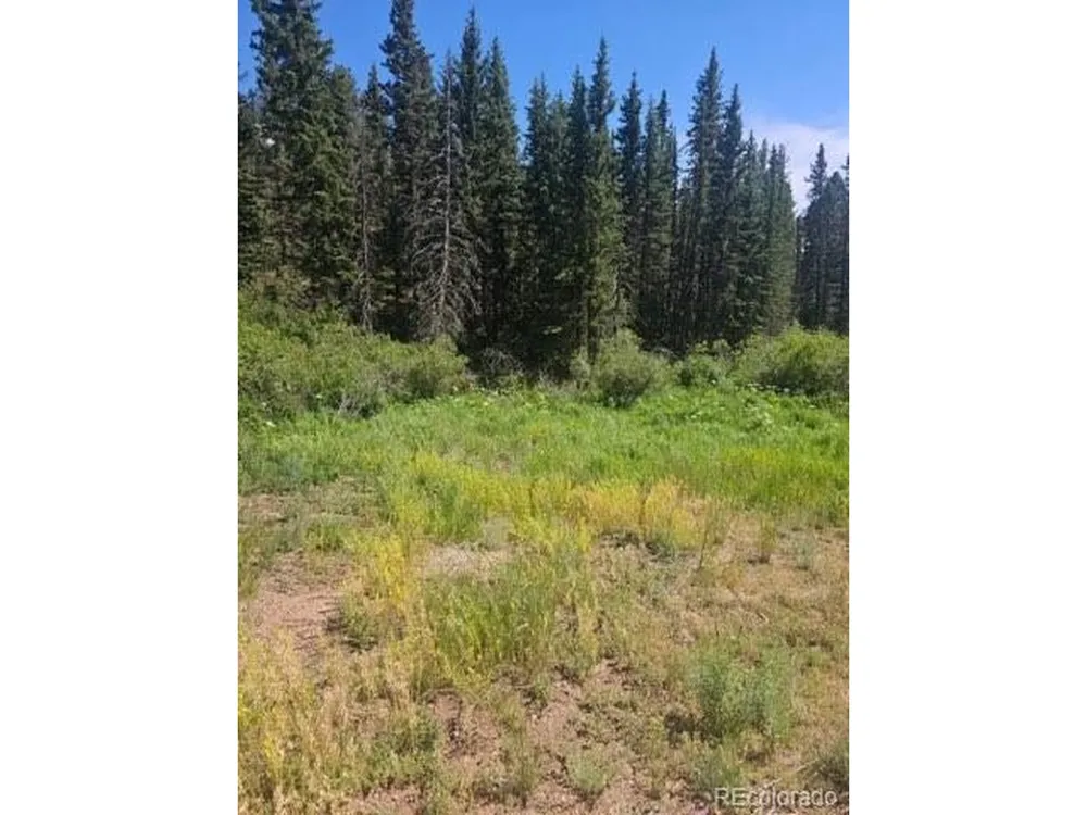 1164 Arapahoe Creek Trail Florissant, CO 80816