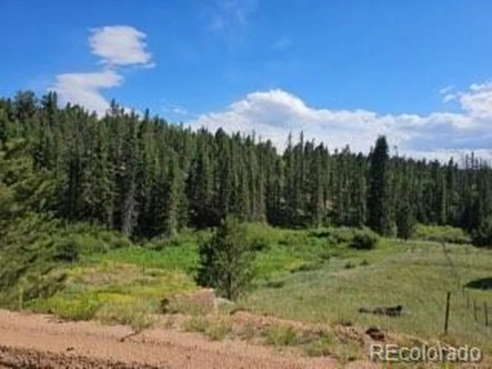 1164 Arapahoe Creek Trail Florissant, CO 80816