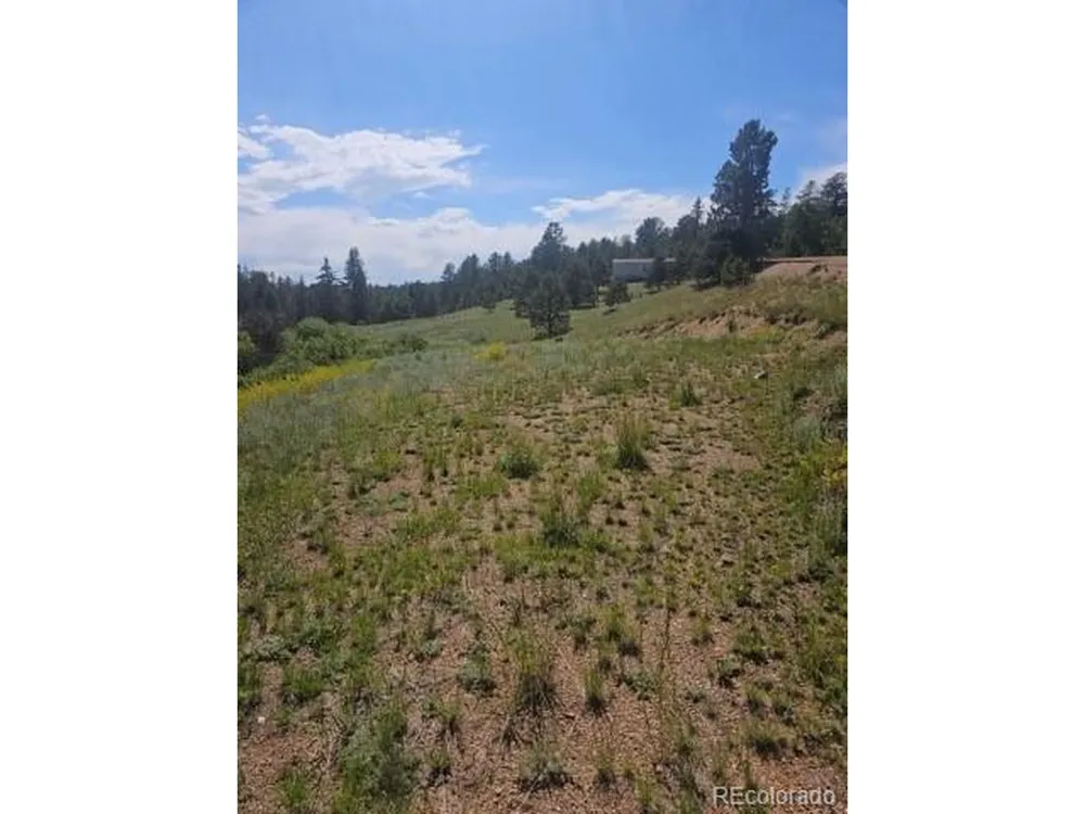 1164 Arapahoe Creek Trail Florissant, CO 80816