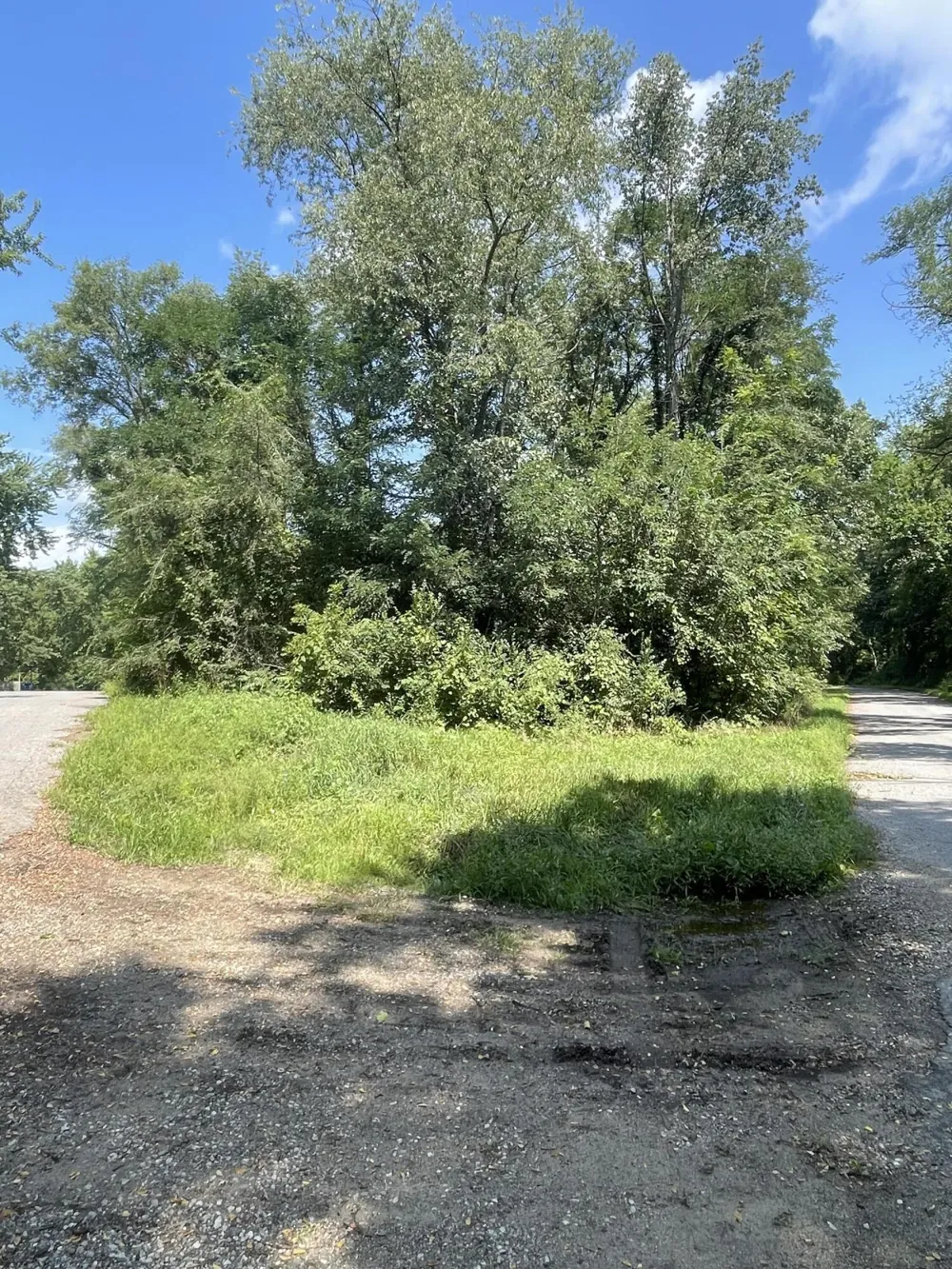 28624 Wilson Drive Dowagiac, MI 49047