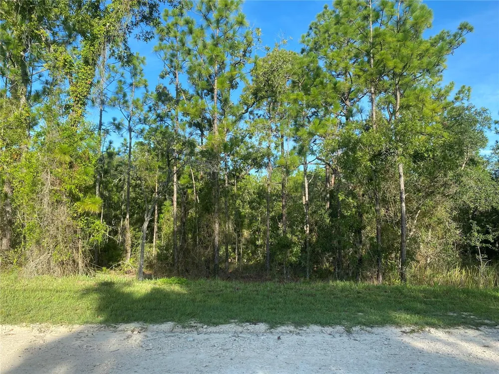 15421 FLEETWOOD ROAD Weeki Wachee, FL 34614