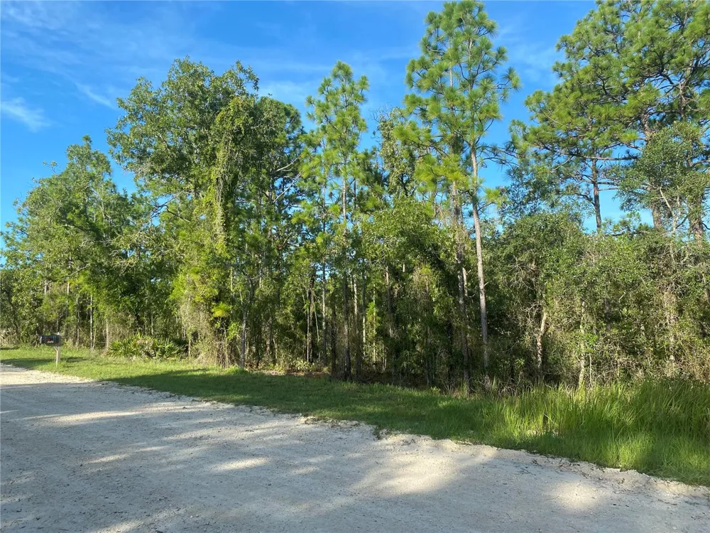 15421 FLEETWOOD ROAD Weeki Wachee, FL 34614