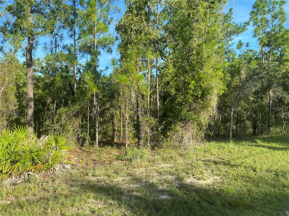 15421 FLEETWOOD ROAD Weeki Wachee, FL 34614