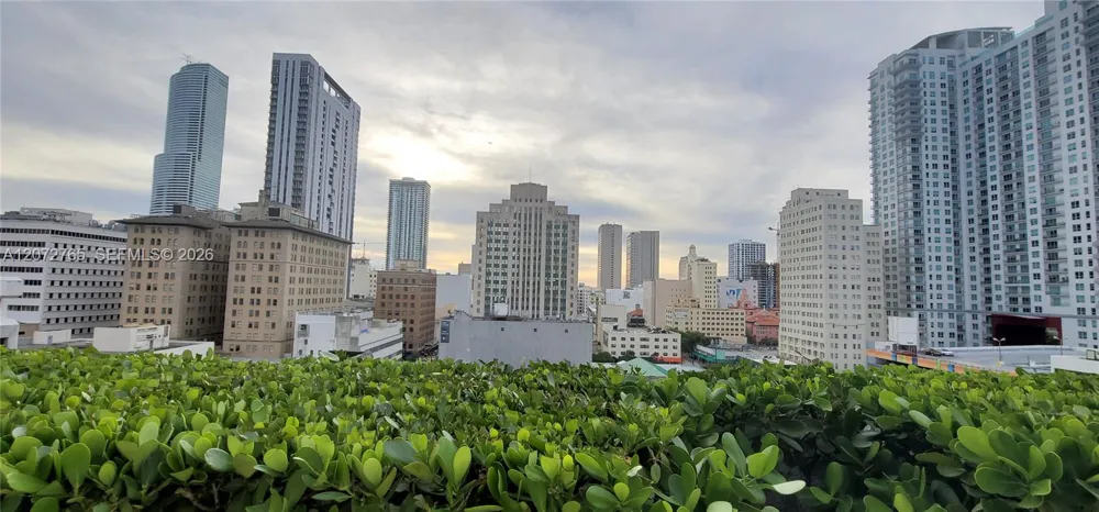 50 Biscayne Blvd #5202 Miami, FL 33132