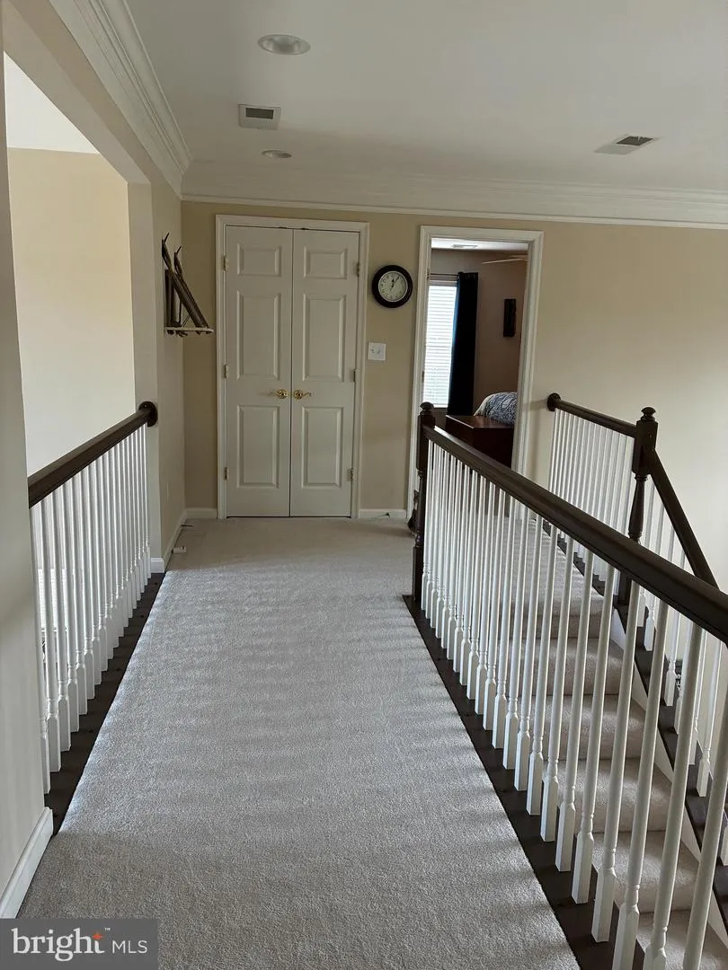 16234 JOHN ROWLAND TRAIL Milton, DE 19968