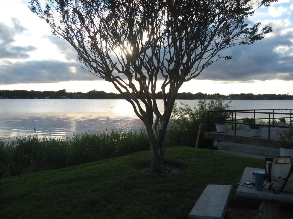 1500 GAY ROAD #25B Winter Park, FL 32789