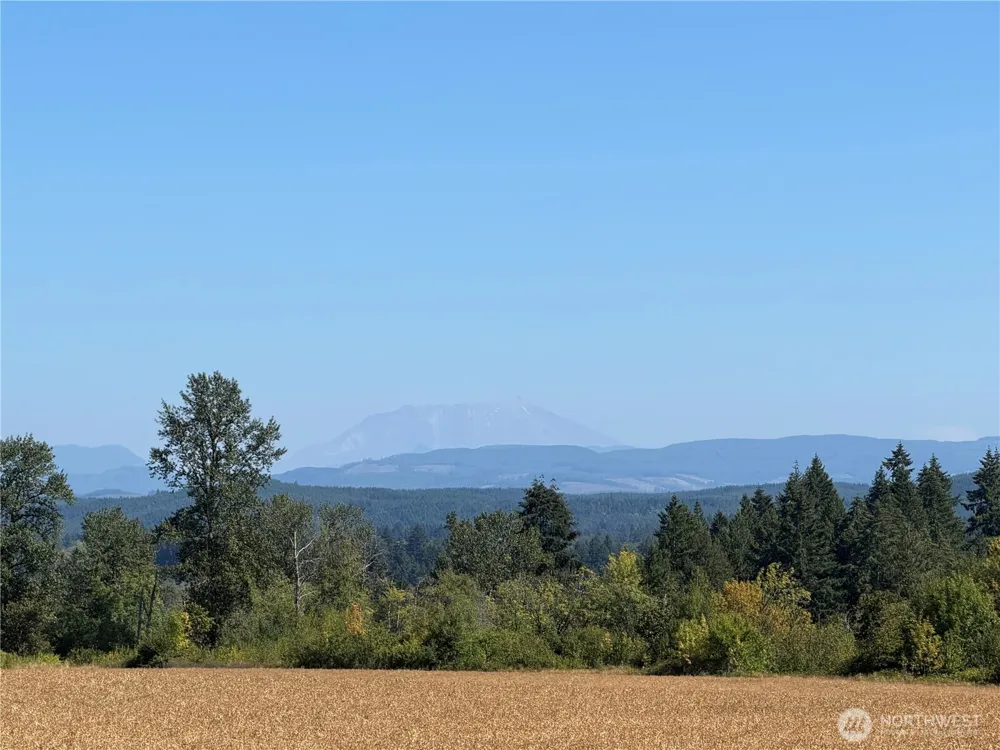 117 Plomondon Road Toledo, WA 98591