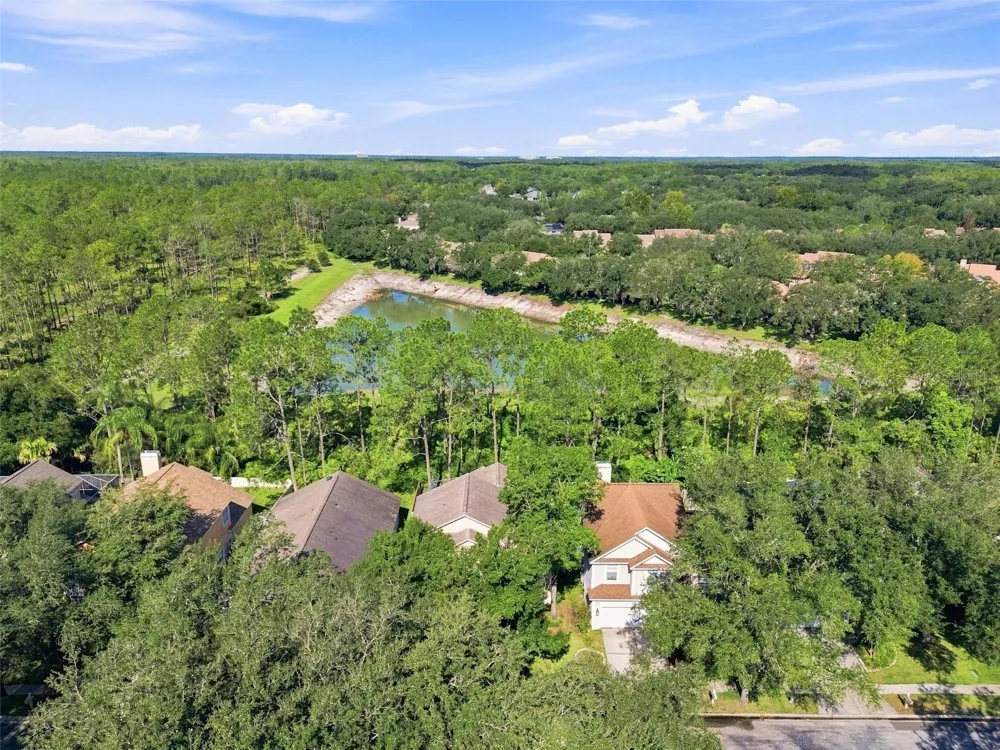 17708 LONG RIDGE ROAD Tampa, FL 33647