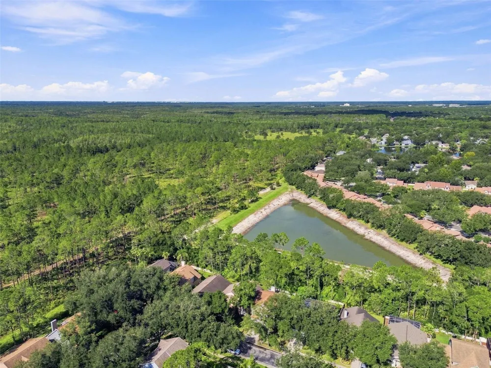 17708 LONG RIDGE ROAD Tampa, FL 33647