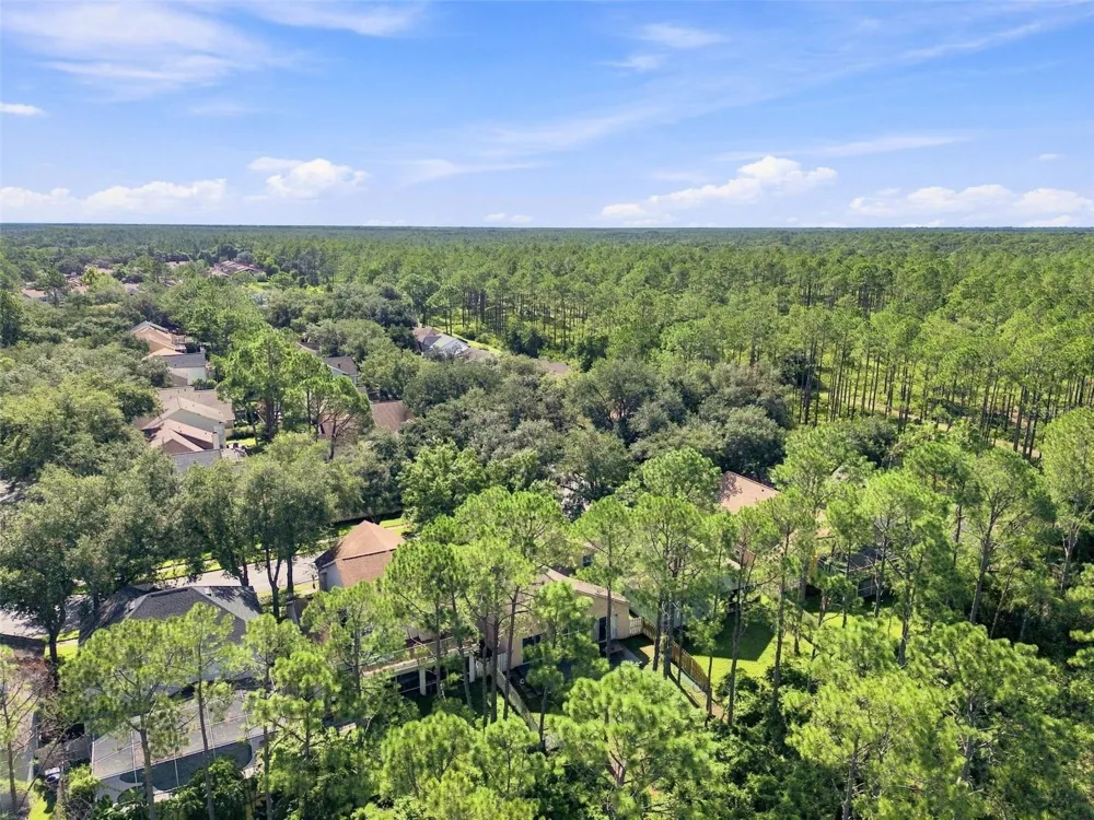17708 LONG RIDGE ROAD Tampa, FL 33647
