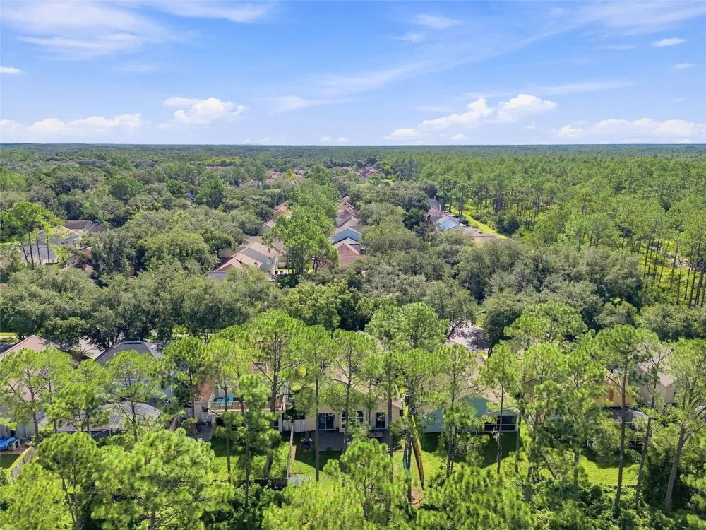 17708 LONG RIDGE ROAD Tampa, FL 33647