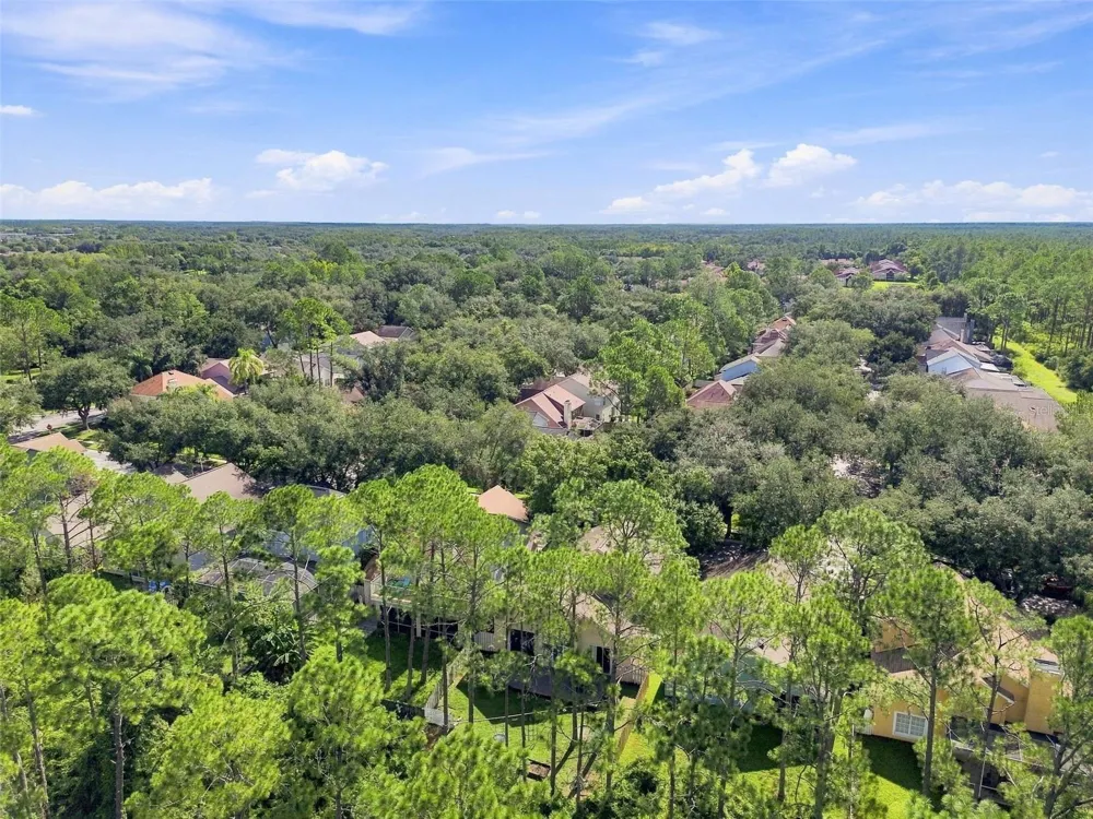 17708 LONG RIDGE ROAD Tampa, FL 33647